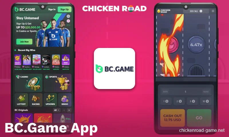 Overview of chicken road demo